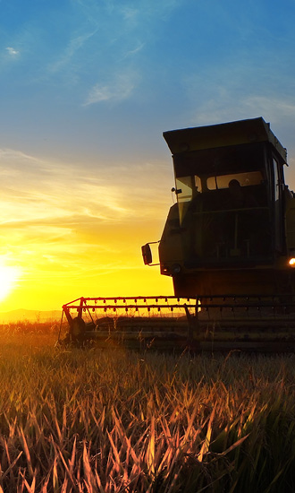 Imagem de colheitadeira no campo com o por do sol ao fundo.